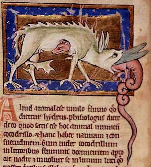 A Cocodrille devouring a hydra. British Library Royal MS 12 Cxix f.12 v.